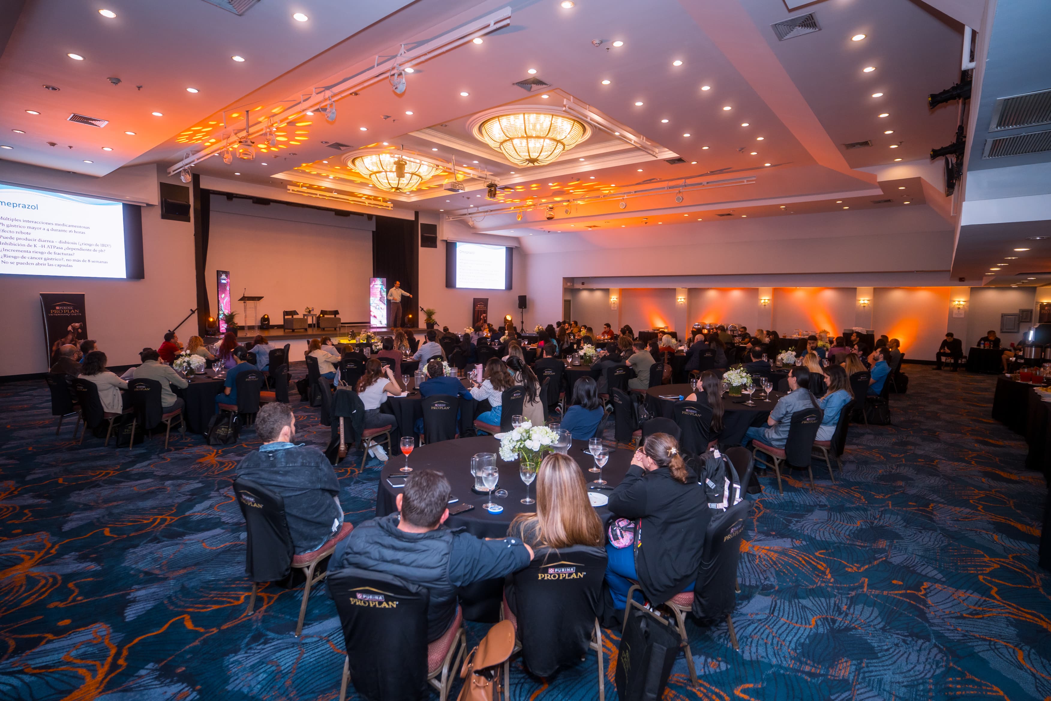 Cuidado: automedicar a su mascota puede empeorar su salud